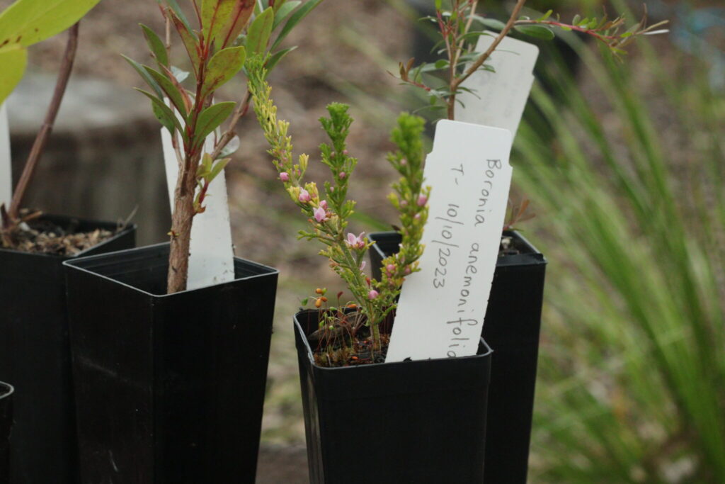 Science week,indigenous garden,enviornmental science