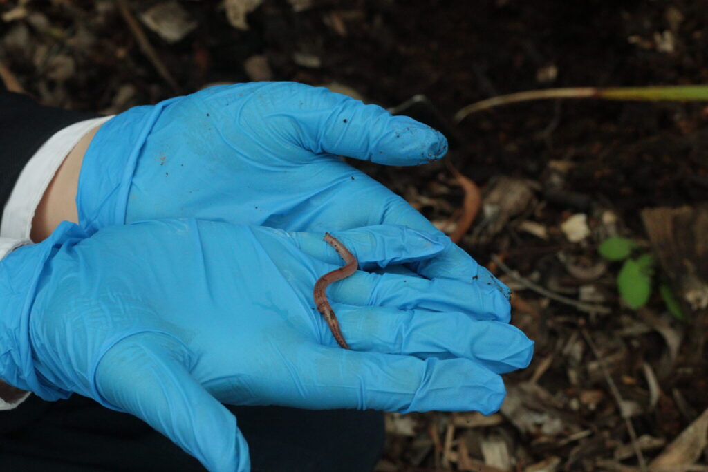 Science week,indigenous garden,enviornmental science