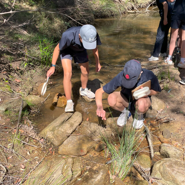 Year 8 students in geography school excursion MCD